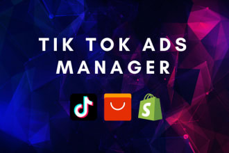 be your tik tok ads campaign manager, tiktok marketing tiktok advertising