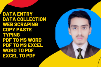 do fastest data entry, excel data entry in 48 hours, web scrap, transcribe PDF