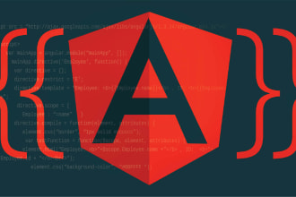 develop or fix web apps in angular