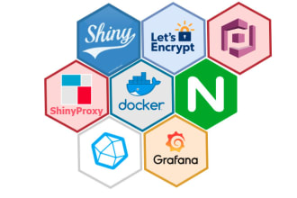 dockerize r shiny apps and deployment