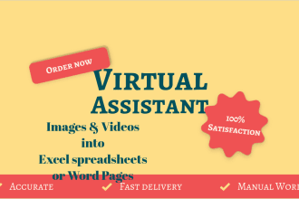 provide services in microsoft word, excel and powerpoint