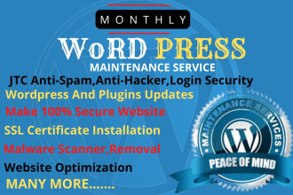 provide monthly wordpress website security monitoring, maintenance and support