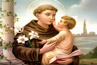pray the novena to st anthony for anything you want