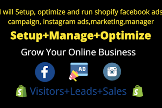 setup and run shopify facebook ad campaign, instagram ad optimizer