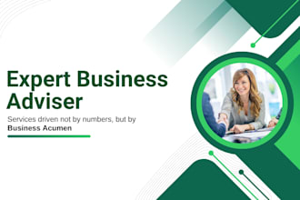 prepare any type of financial model, forecast, projection, budget and plan