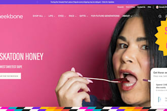 design shopify website, redesign shopify and shopify one product store