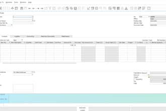 provide sap b1 consultancy