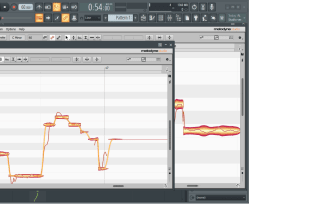 do professional vocal tuning