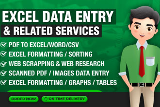 excel data entry convert PDF to excel