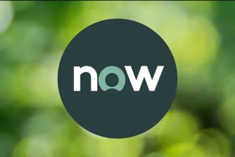 provide all servicenow developer or admin work
