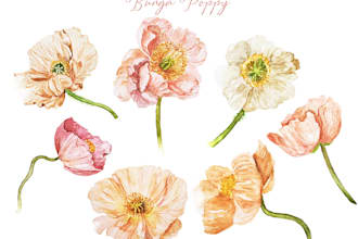 create custom watercolour floral collection