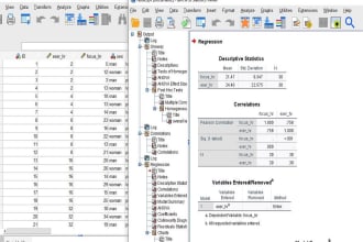 analyze your data using spss and excel with report
