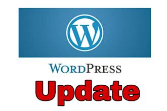 update,customize, maintenance or edit wordpress website