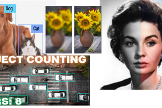 do object detection, image upscale, face recognition projects