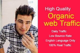 send 300,000 english language traffic , website visitors