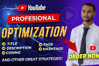 do best youtube video SEO expert optimization and organic channel growth manager