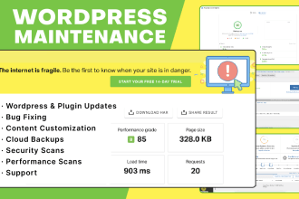 do weekly and monthly wordpress maintenance and support