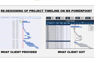 design dynamic excel dashboards, timelines and presentations