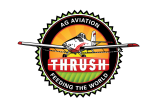 design eye catchy aircraft logo with express delivery