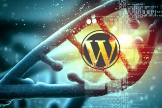 build and design an eye catching wordpress website