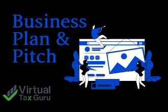 prepare startup business plan or pitch