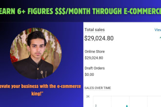 build a millionaire dropshipping or ecommerce store