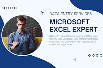do data cleaning, sorting, formatting, in ms excel