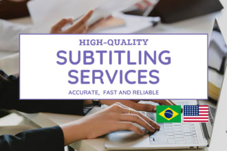 provide professional translation and subtitles