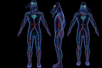 create 3d nft collection, 3d nft model