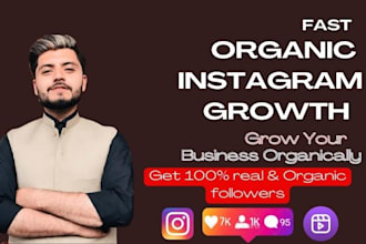 fast organic instagram growth
