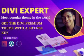 be your divi and wordpress theme customizer or divi expert