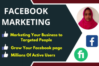 do facebook marketing and promotion for your business to targeted audience