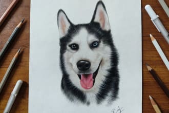 draw realistic color pencil pet portrait, pet sketch