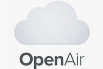 do the netsuite openair customization integration and scripting