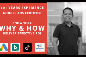 optimize google ads conversion performance