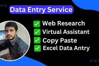 do data entry, web research and personal virtual assistant