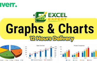convert data to an professional ms excel charts and excel graphs