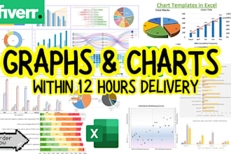 convert data to an professional ms excel charts and excel graphs