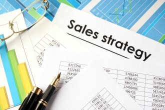 provide sales and growth consulting