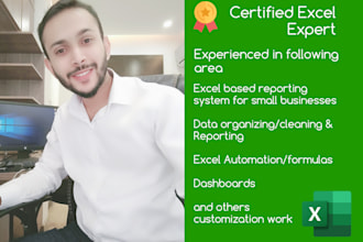 do business process optimization, financial modeling and excel dashboard