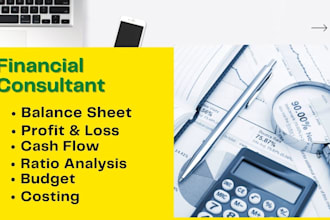 help you in preparing financial statement and ratio analysis