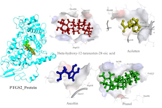 do bioinformatics analysis and drug design study using advanced tools
