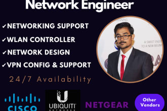 assist you remotely in computer networking