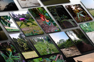 provide high quality nature photographs