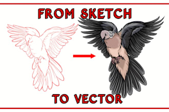 make a sketch of your animal into a vector