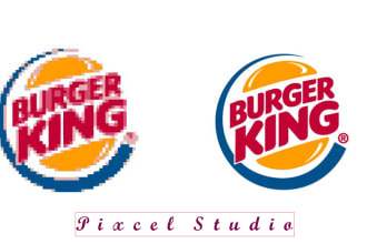 vectorize, redraw raster to vector, image to vector vector tracing, illustration
