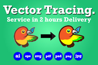 do vector tracing in 2 hours