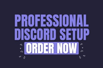 expertly setup custom discord server