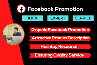 do facebook promotion,marketing and advertising for your product