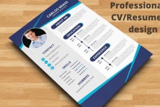 do professional cv design
